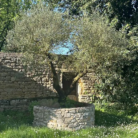 Bed and breakfast Les Hauts De Saulies - Et Table D'hotes De Charme Vers (Lot)