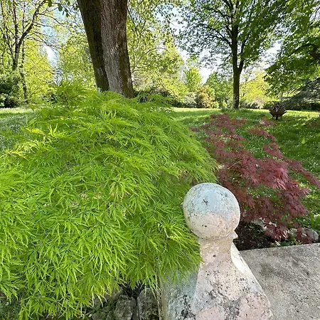 Les Hauts De Saulies - Et Table D'hotes De Charme