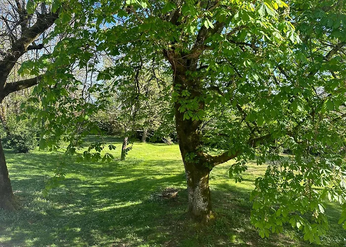 Les Hauts De Saulies - Et Table D'hotes De Charme B&B 3*