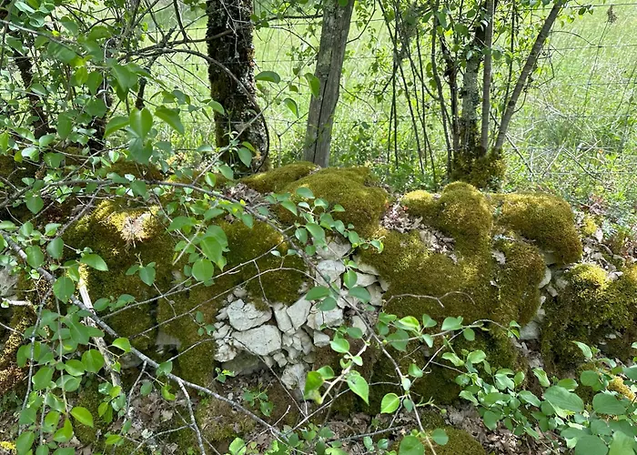 Les Hauts De Saulies - Et Table D'hotes De Charme B&B