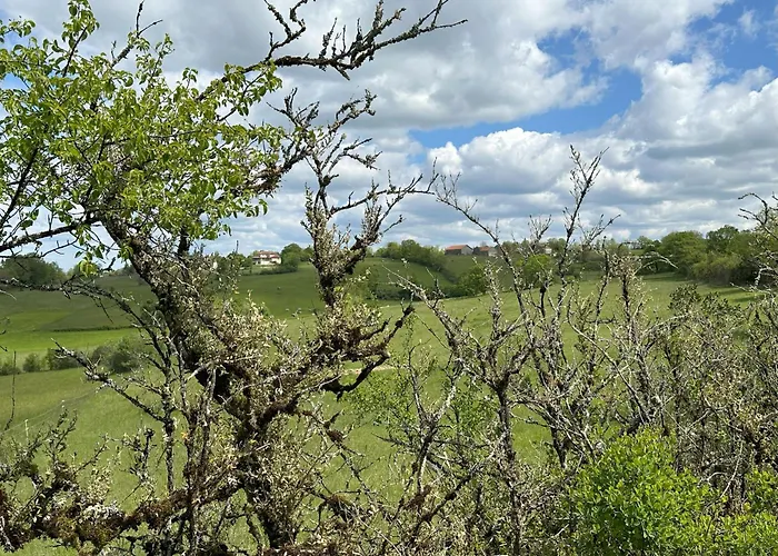 Les Hauts De Saulies - Et Table D'hotes De Charme B&B 3*