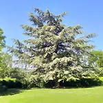 Nocleg ze śniadaniem Les Hauts De Saulies - Et Table D'hotes De Charme 3*