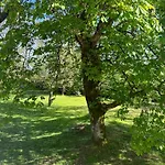 Les Hauts De Saulies - Et Table D'hotes De Charme Nocleg ze śniadaniem 3*