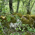 Les Hauts De Saulies - Et Table D'hotes De Charme Nocleg ze śniadaniem