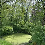 Bed & Breakfast Les Hauts De Saulies - Et Table D'hotes De Charme