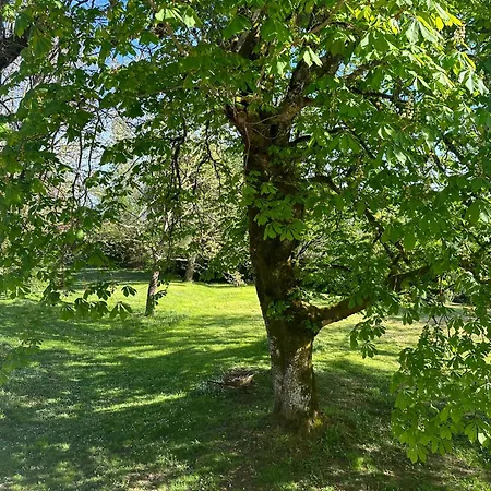 Les Hauts De Saulies - Et Table D'hotes De Charme Bed & Breakfast 3*