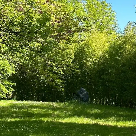 Bed & Breakfast Les Hauts De Saulies - Et Table D'hotes De Charme