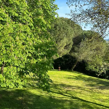 Les Hauts De Saulies - Et Table D'hotes De Charme