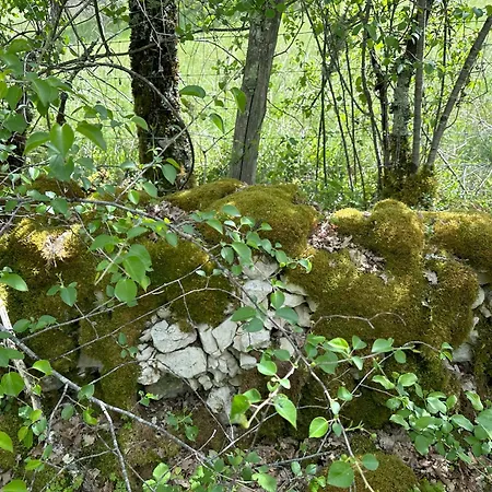 Les Hauts De Saulies - Et Table D'hotes De Charme B&B