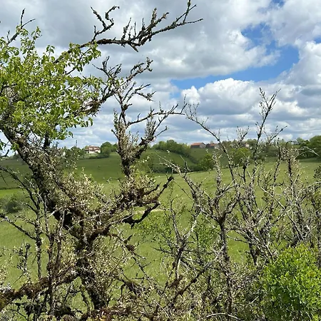 Les Hauts De Saulies - Et Table D'hotes De Charme Bed & Breakfast 3*