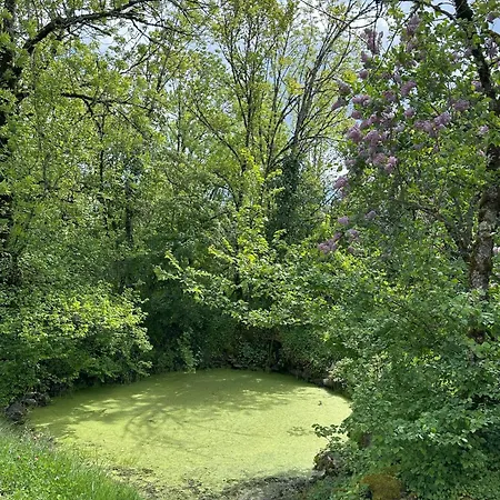 Bed & Breakfast Les Hauts De Saulies - Et Table D'hotes De Charme