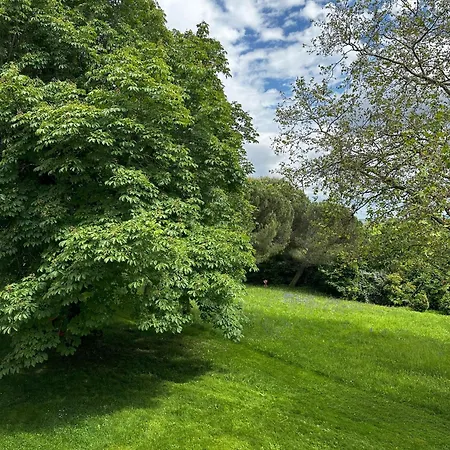 Les Hauts De Saulies - Et Table D'hotes De Charme 4* Vers (Lot)
