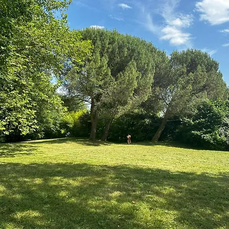 Les Hauts De Saulies - Et Table D'hotes De Charme *