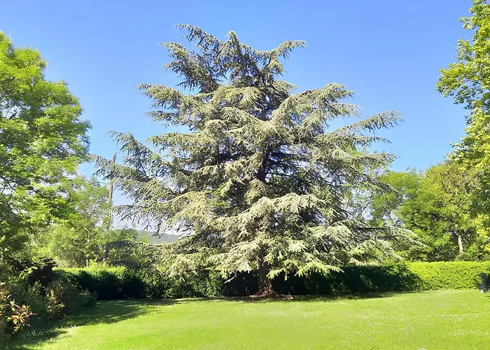 住宿加早餐酒店 Les Hauts De Saulies - Et Table D'hotes De Charme 3*