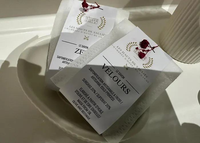 住宿加早餐酒店 Les Hauts De Saulies - Et Table D'hotes De Charme 3*