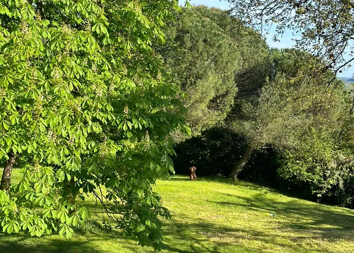 Les Hauts De Saulies - Et Table D'hotes De Charme