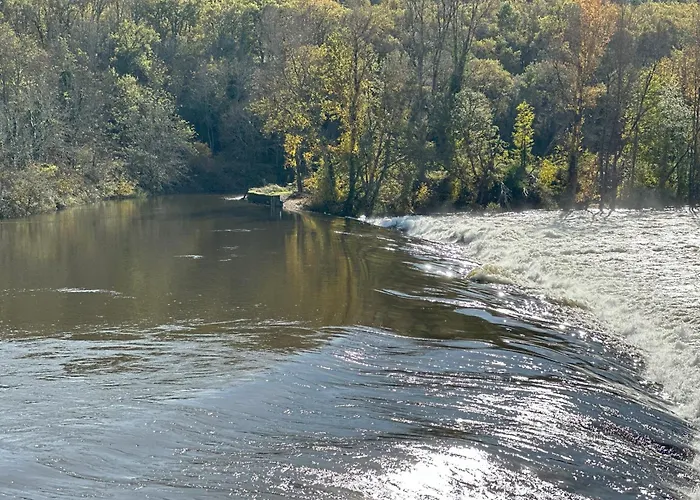 Les Hauts De Saulies - Et Table D'hotes De Charme 3*