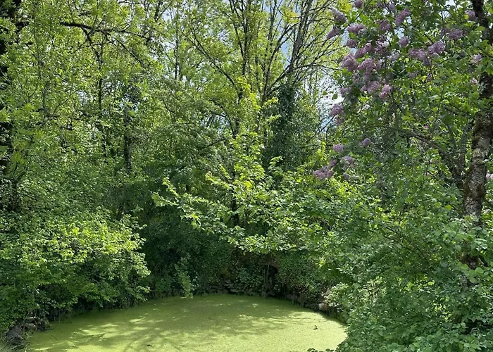 Bed and breakfast Les Hauts De Saulies - Et Table D'hotes De Charme