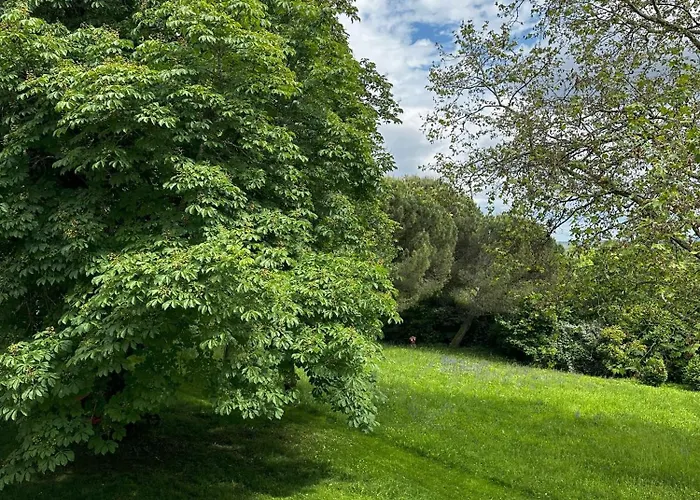 Les Hauts De Saulies - Et Table D'hotes De Charme 3* Vers (Lot)