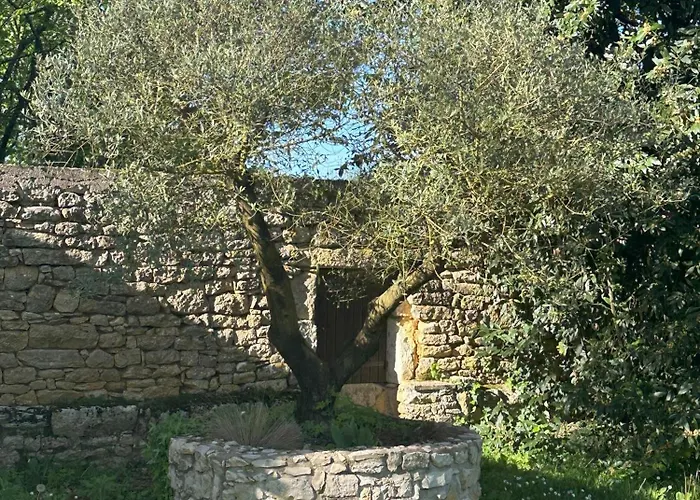 Bed and breakfast Les Hauts De Saulies - Et Table D'hotes De Charme Vers (Lot)