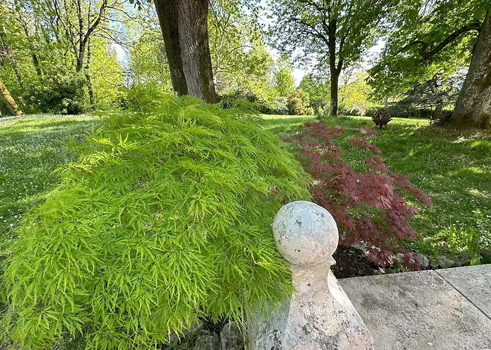 Les Hauts De Saulies - Et Table D'hotes De Charme